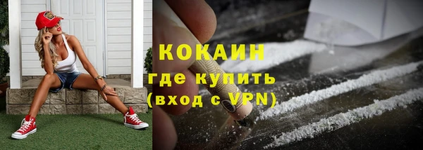 шишки Куйбышев