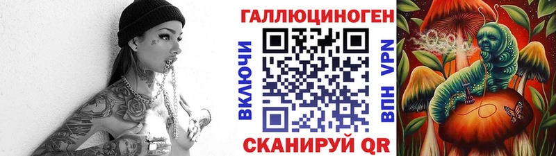 Купить где  Пушкино  Псилоцибиновые грибы Psilocybine cubensis 